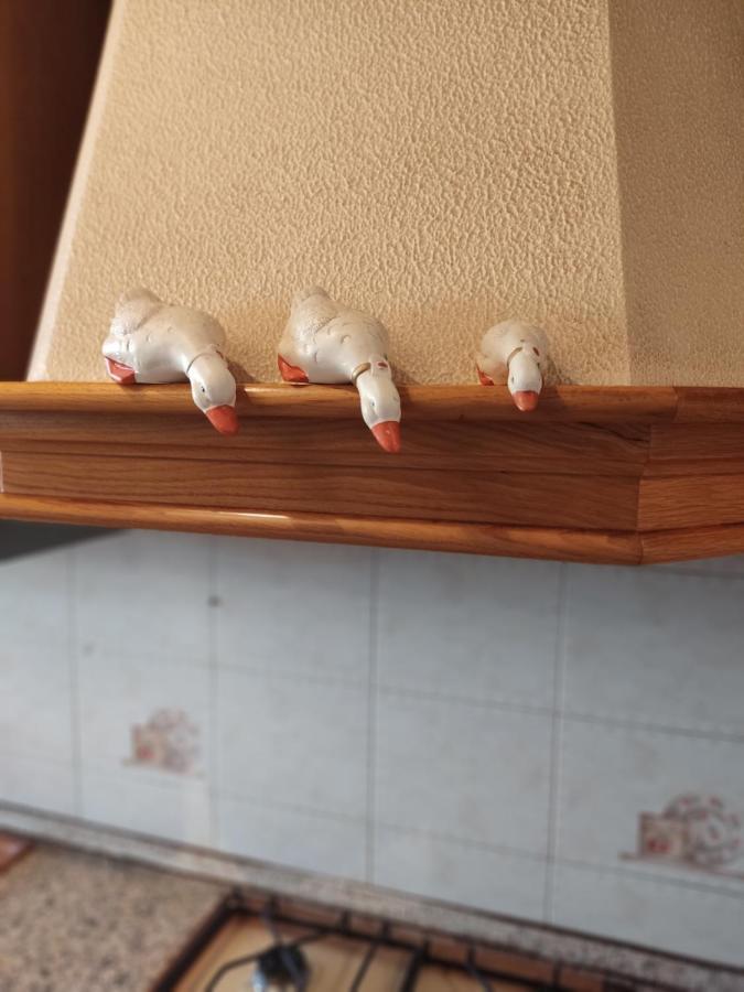 Villetta Gina A San Giuseppe - Lido Di Pomposa Екстер'єр фото